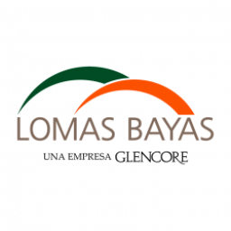 Logo de la empresa