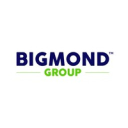 BIGMOND GROUP Logo