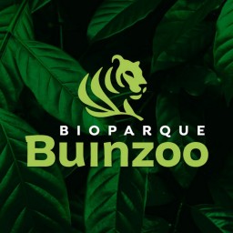 buinzoo