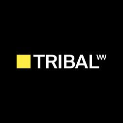 TWW - Analista de Transformación Digital y Procesos